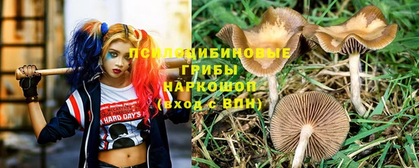 apvp Заволжск