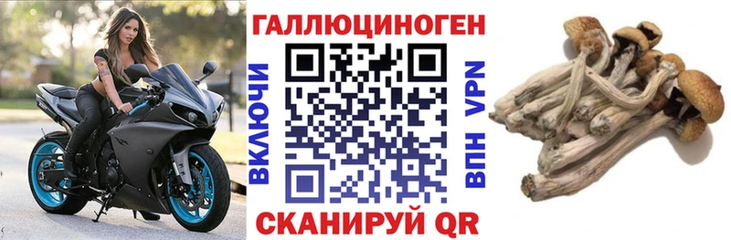 Псилоцибиновые грибы MAGIC MUSHROOMS  Купить где  Краснодар 